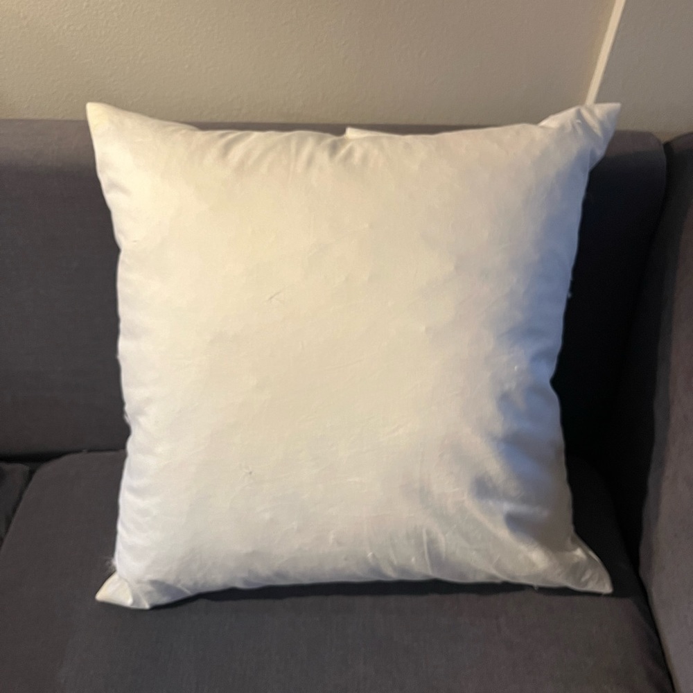 Pottery Barn Feather Down Throw Accent Pillow Insert  20” x 20” White USA EUC